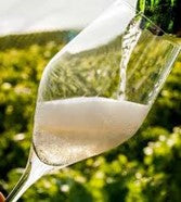 Grower Champagne and Sparkling Wine tasting & bites  -  Wednesday 8th November 2023 7pm – 9.30pm